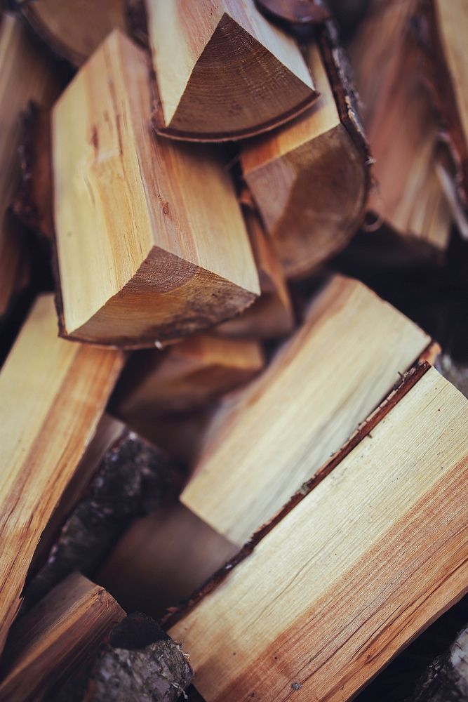 Freshly cut firewood. Visit Kaboompics for more free images.