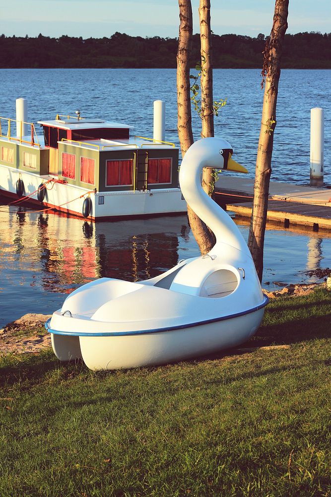 Swan boat by a lake. Visit Kaboompics for more free images.