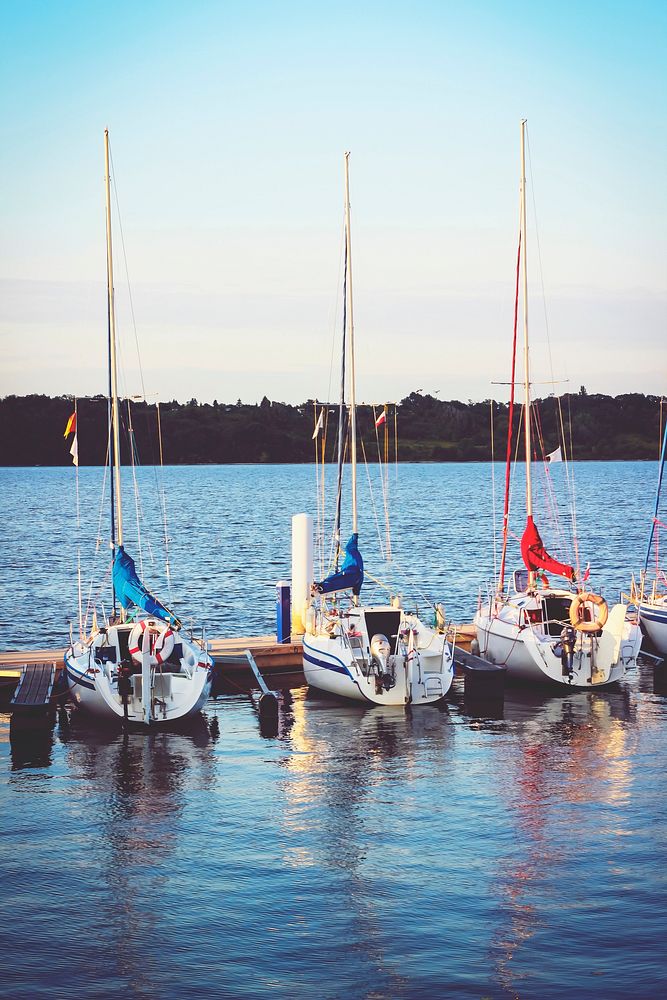 Sailboats tied at a pier. Visit Kaboompics for more free images.