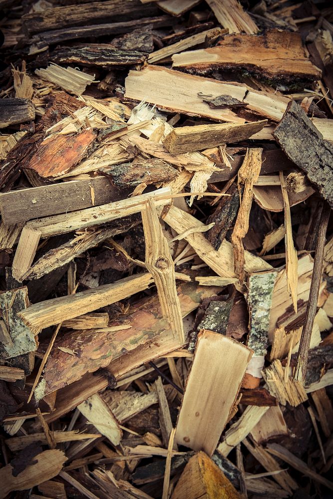 Cut strips of firewood