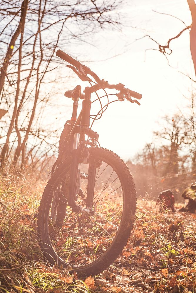 Close up of a mountain bike outdoors
