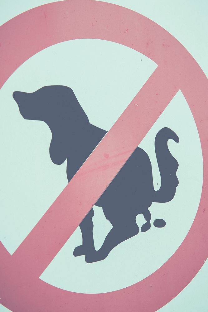 No dog pooping sign