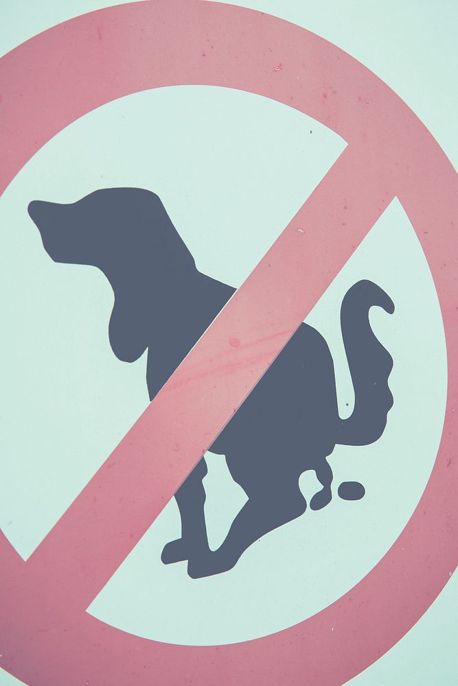 No dog pooping sign | Free Photo - rawpixel