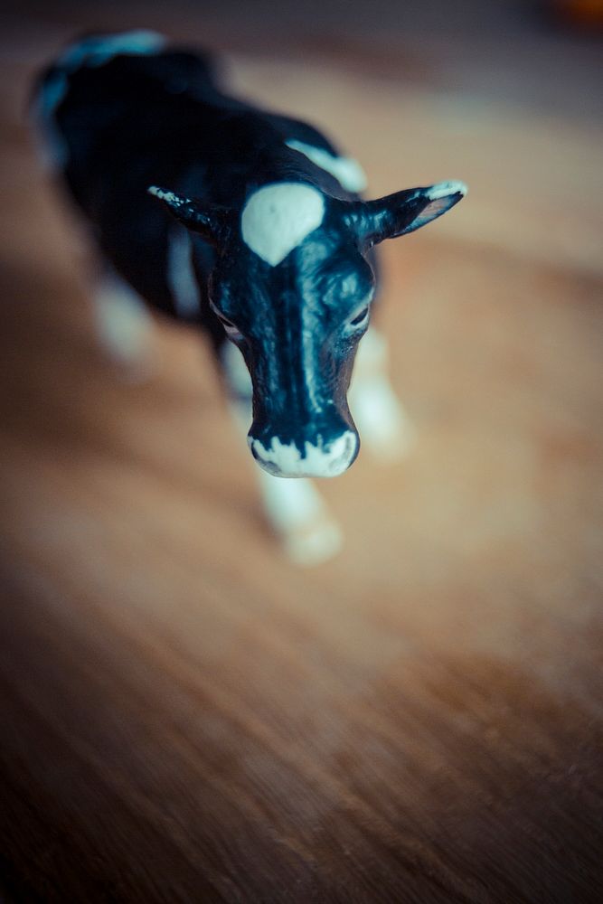 Tiny plastic toy cow