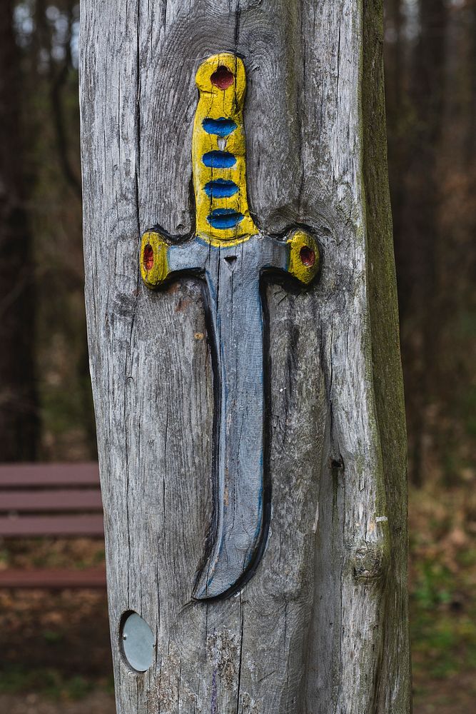 Sword carving on a tree
