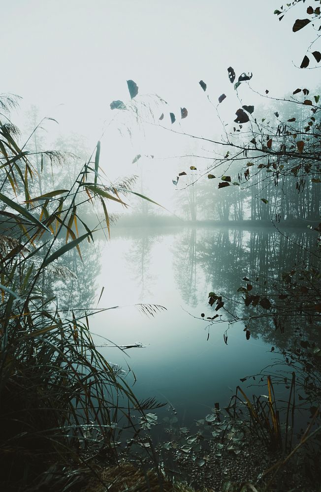 Morning mist over a lake