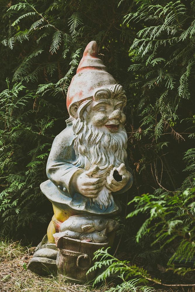 Old garden gnome with fern tree