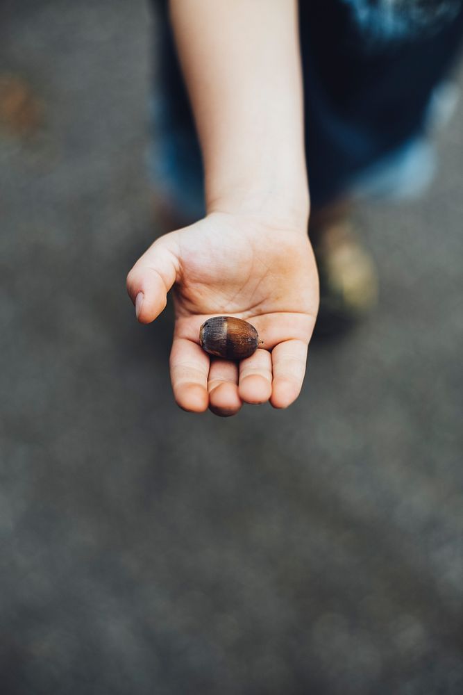 Kid holding an acorn in his hand