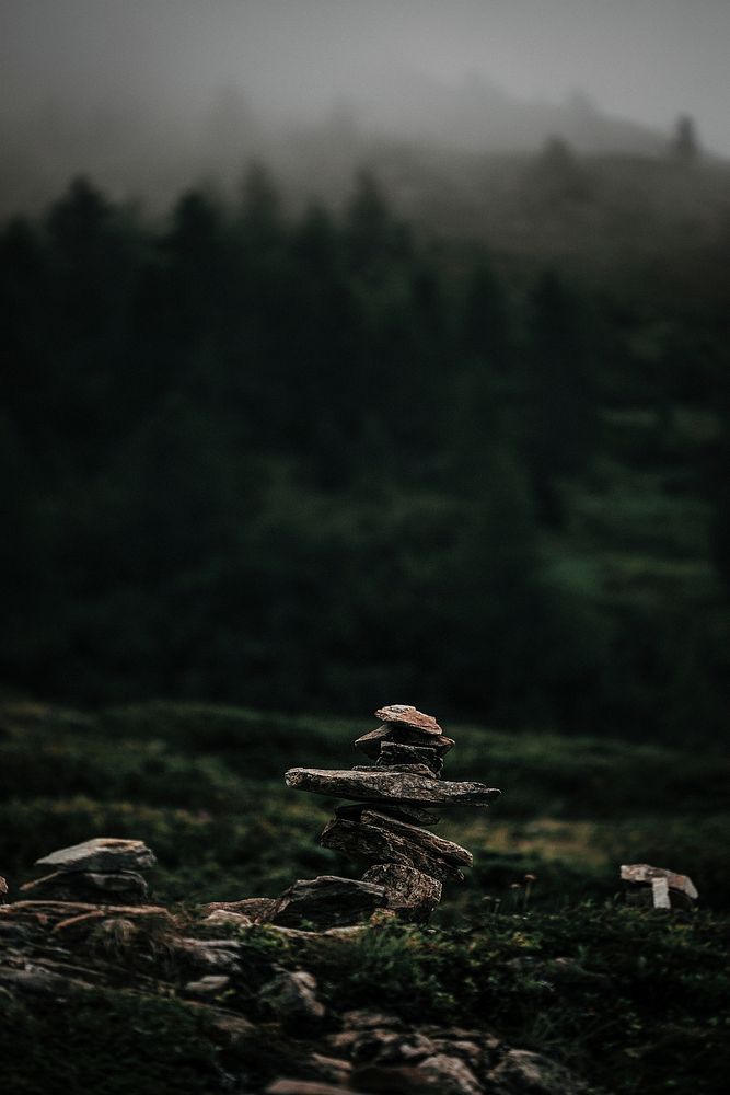 Stack of rocks in a wood