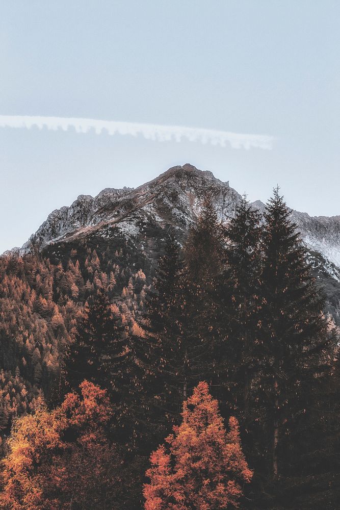 Contrails over the alps