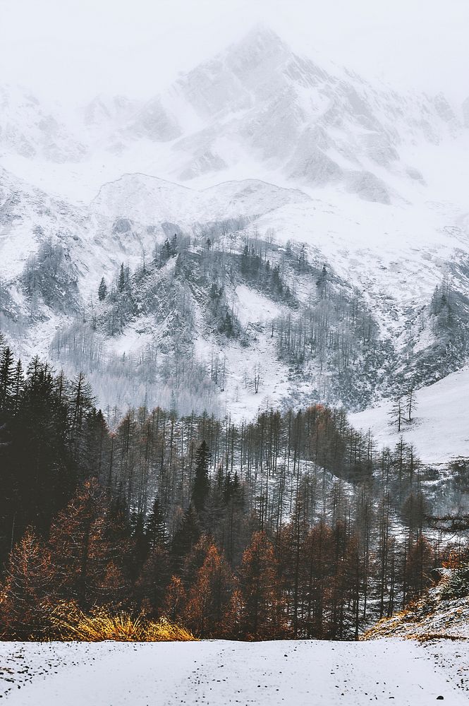 Snowy and foggy mountains in Italy