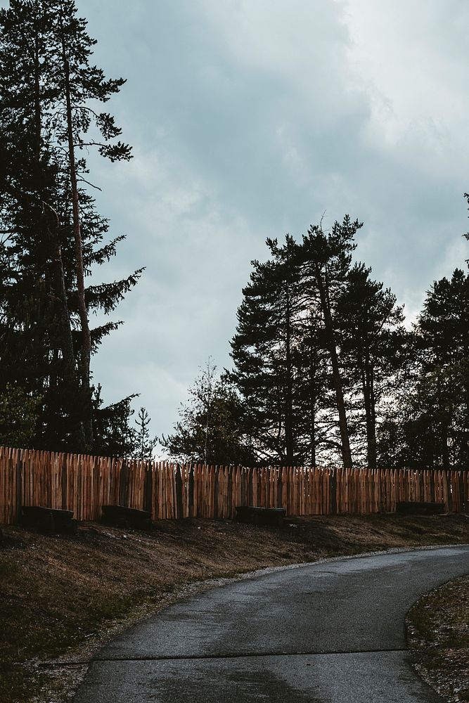 View of a road and a wooden fence