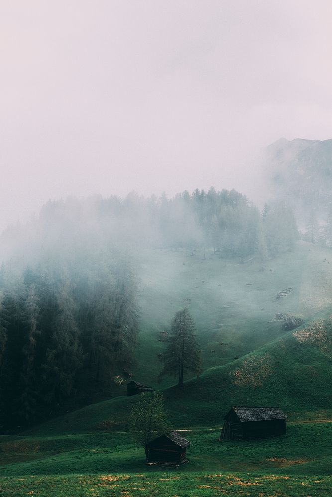 Mist over a meadow at Rit, La Val Ladinia, Italy