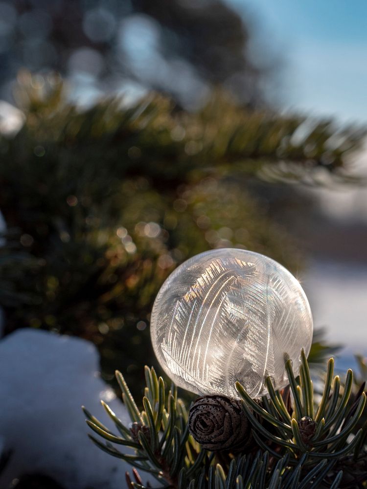 Glass ball in a winter landscape