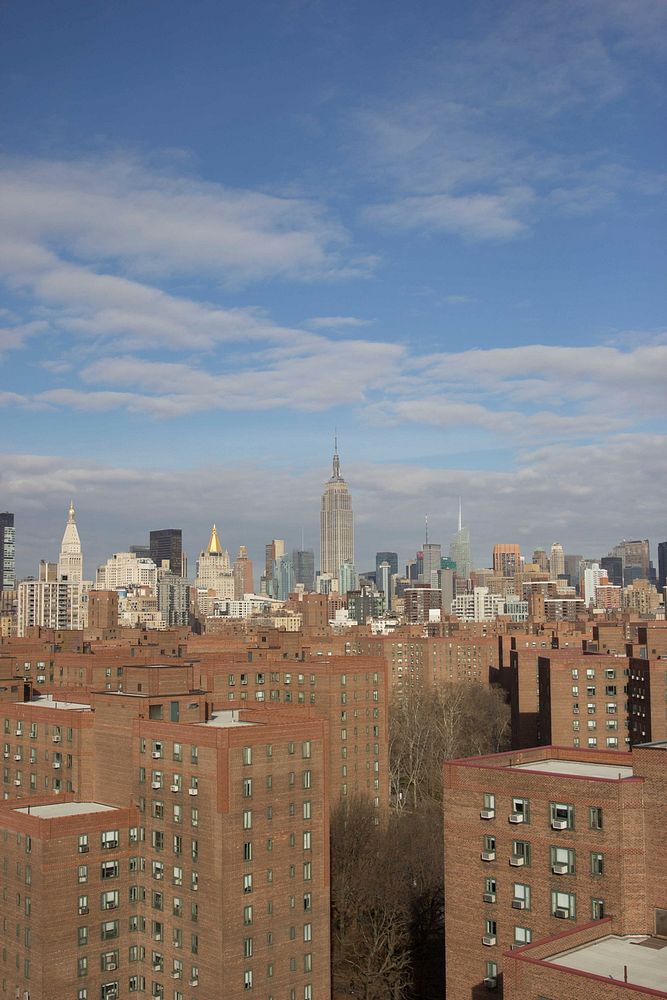 Red brick buildings in the foreground of this image of the New York City skyline.