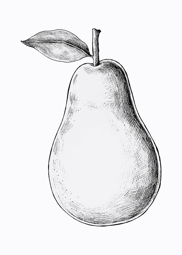 Hand drawn fresh pear vector