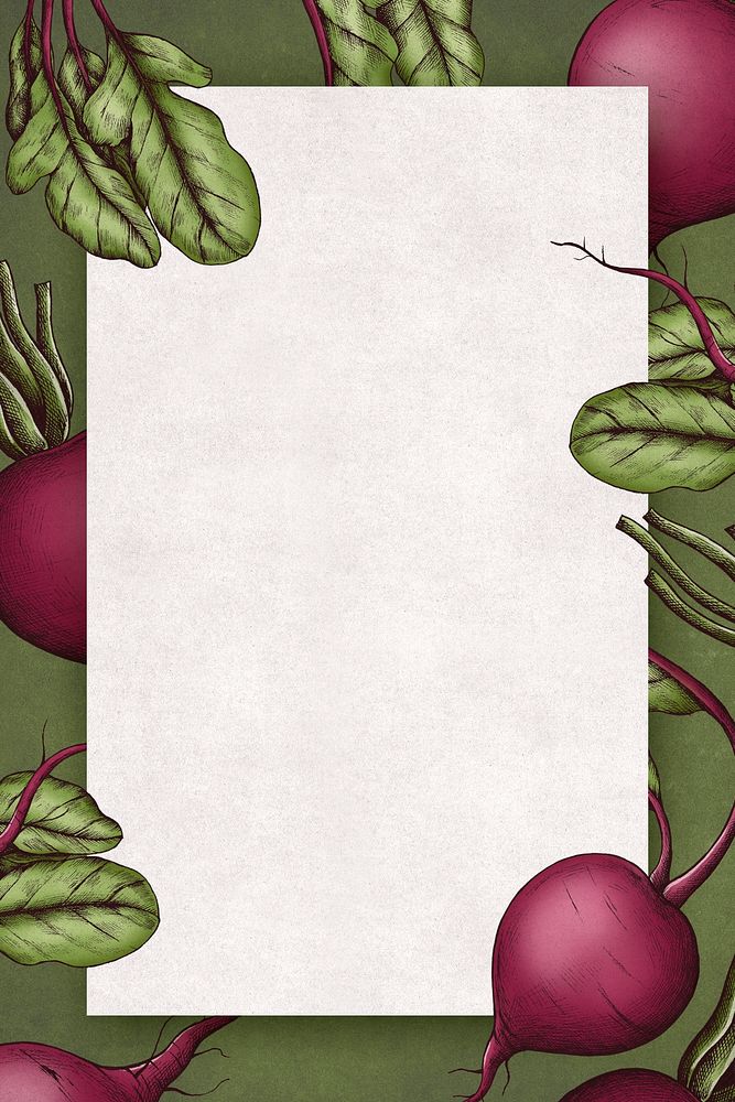 Hand drawn organic radish frame