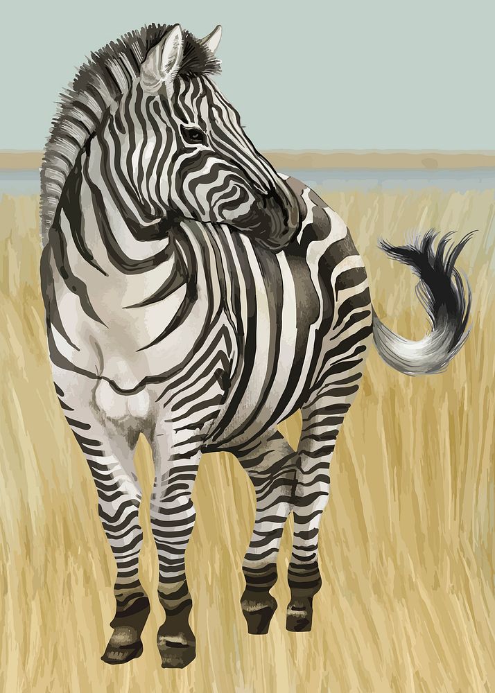 Zebra out in the wild vector