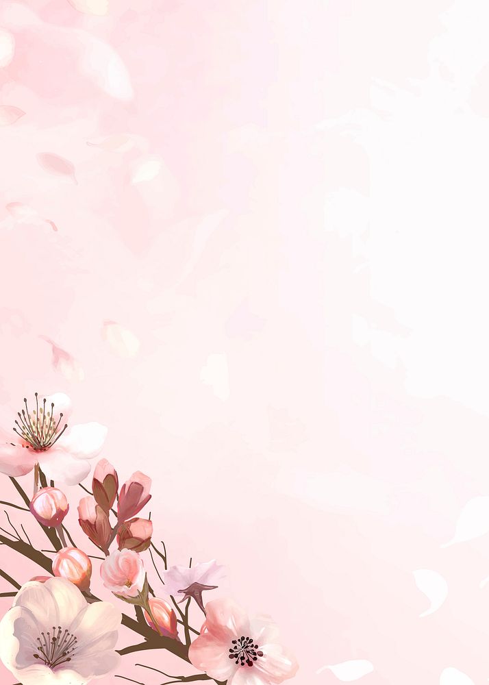 Spring background vector with pink sakura flower