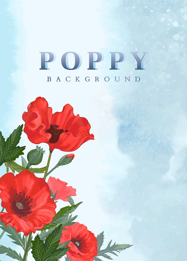 Hand drawn poppies with a blue background vector