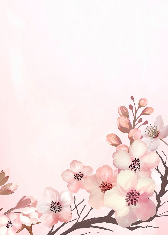 Hand drawn cherry blossoms on a pink background