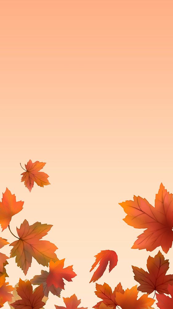 Red maple leaf framed background illustration
