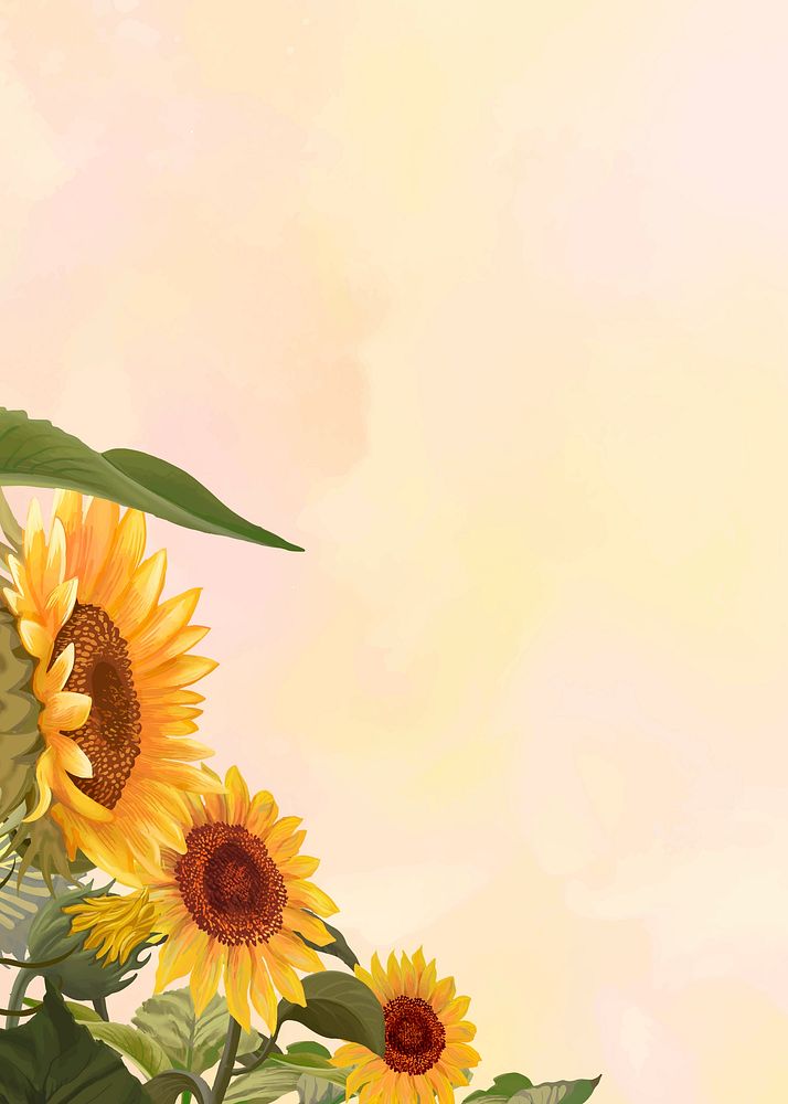 Hand drawn sunflower on a yellow background vector