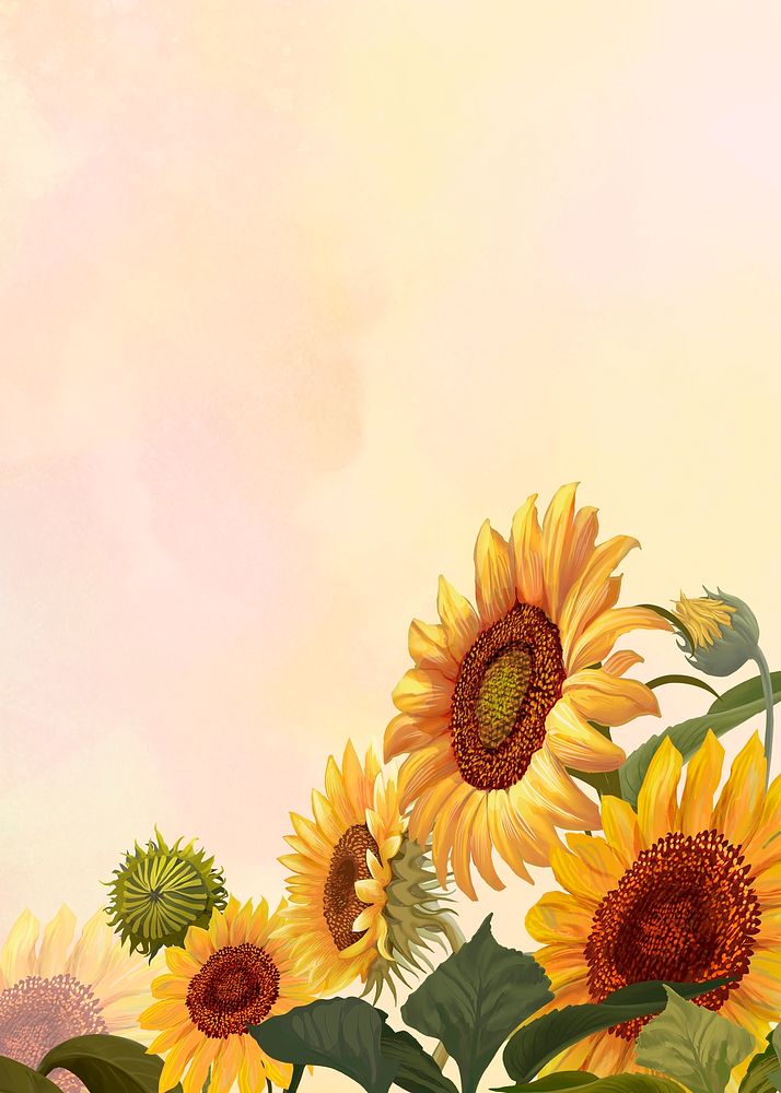 Hand drawn sunflower on a yellow background