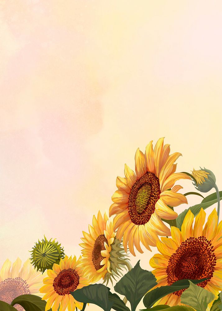 Hand drawn sunflower on a yellow background