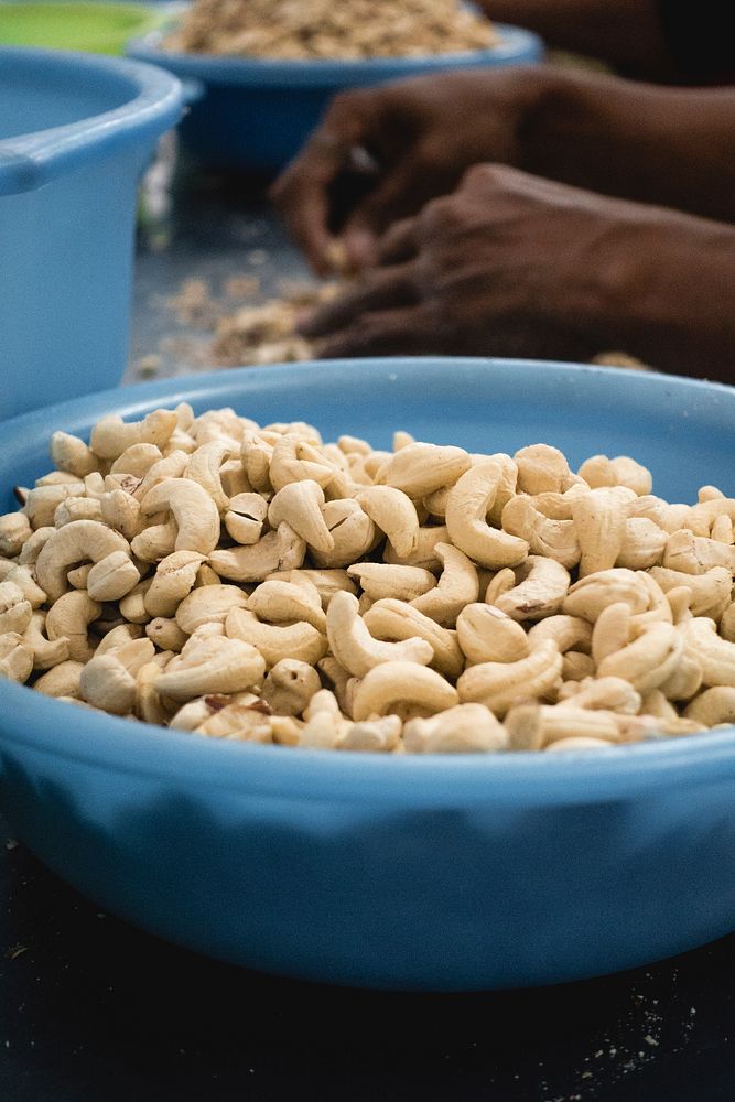 Free woman peeling cashew nuts in bowl public domain CC0 photo.