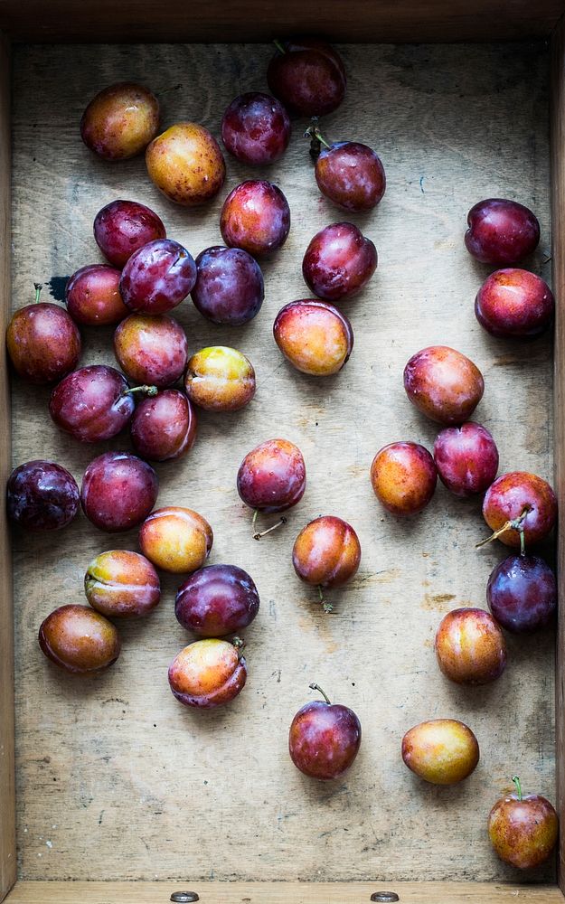 Free plum image, public domain fruit CC0 photo.