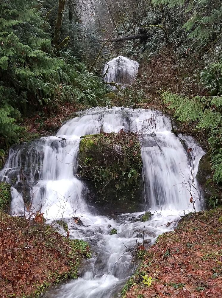 FS Olympic Waterfall off Forest Road. Original public domain image from Flickr