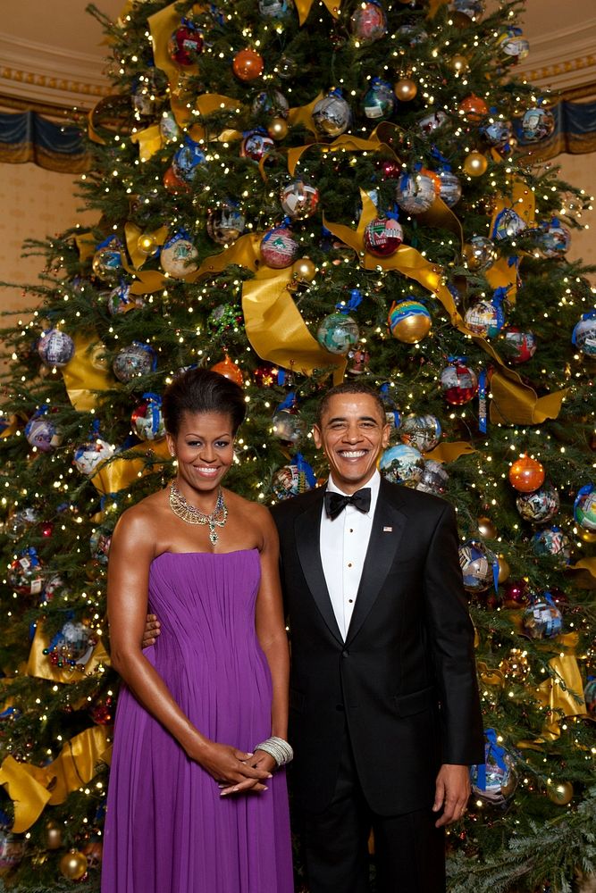 President Barack Obama and First Lady Michelle Obama pose for a formal portrait in front of the official White House…