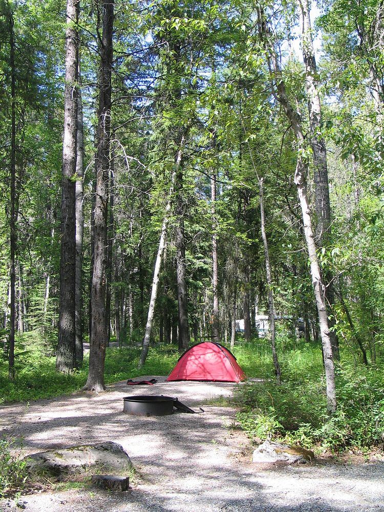 Camping in Glacier Park. Original public domain image from Flickr