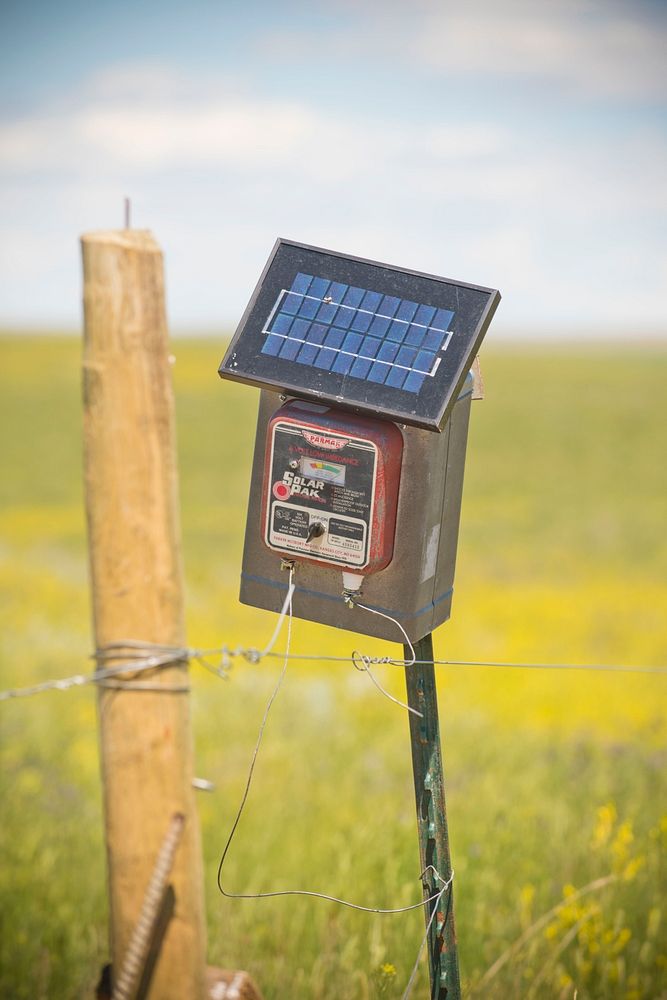 A solar panel charges the electric fence used in Dennis Kleinjan's rotational grazing system on his ranch near Chinook…
