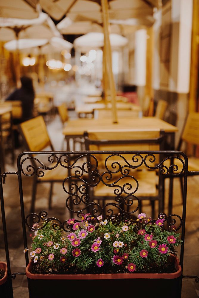 Potted flower at restaurant. Free public domain CC0 photo.