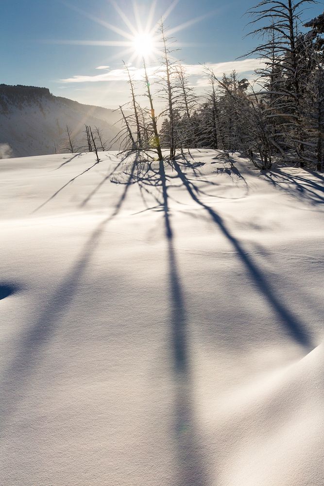 Shadows & fresh snow, Mammoth Springs