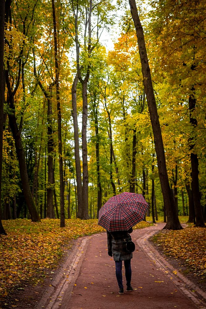 Woman with umbrella in autumn. Free public domain CC0 photo.
