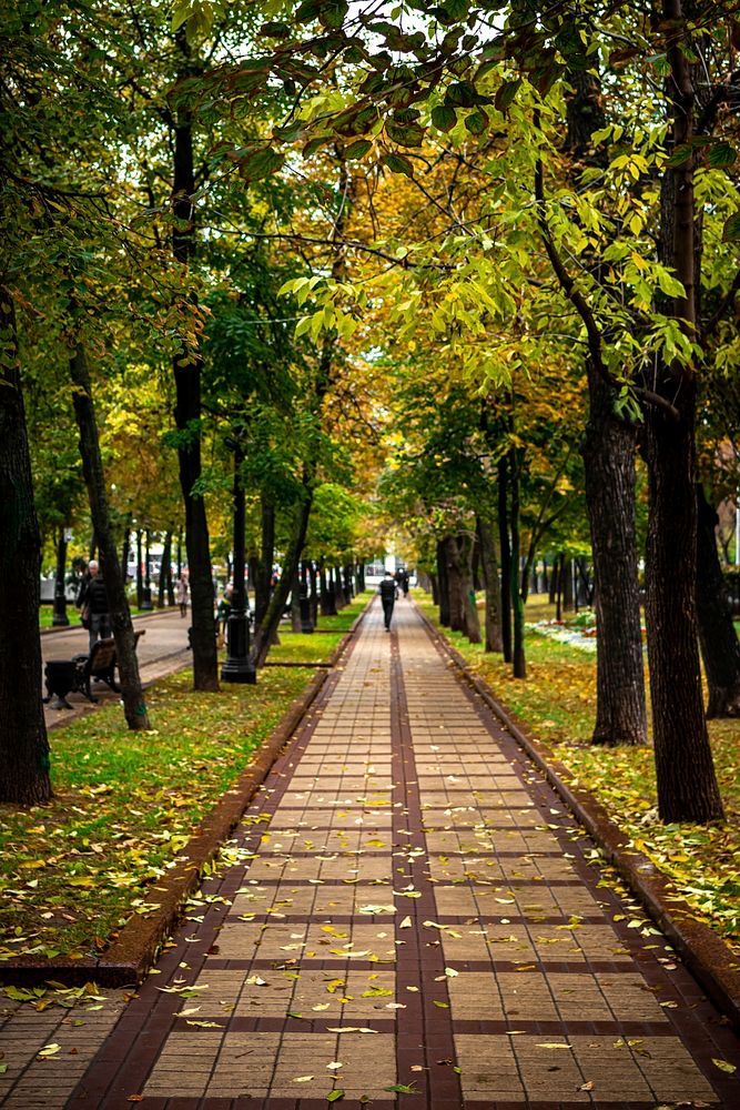 Fall park in Moscow