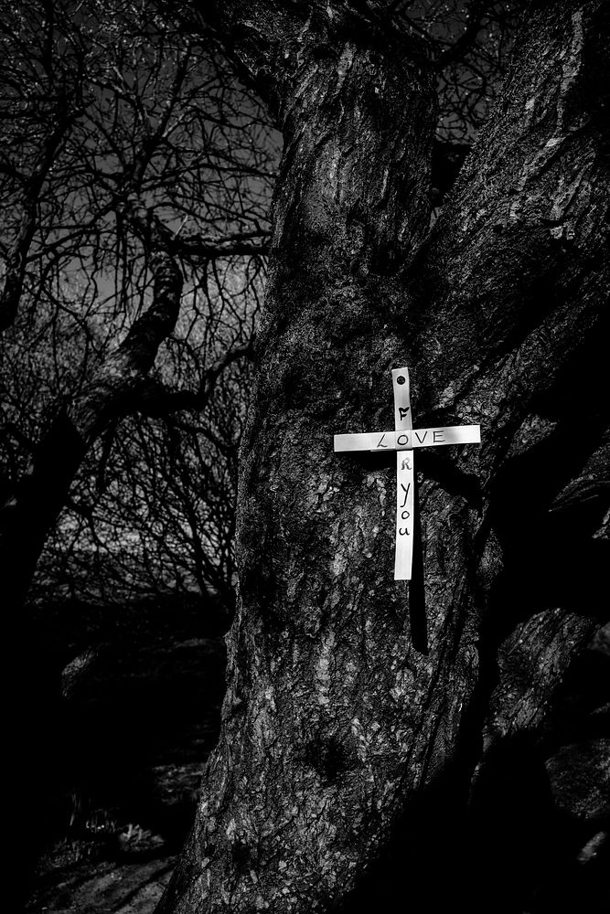 Cross on a tree, monotone. Original public domain image from Flickr
