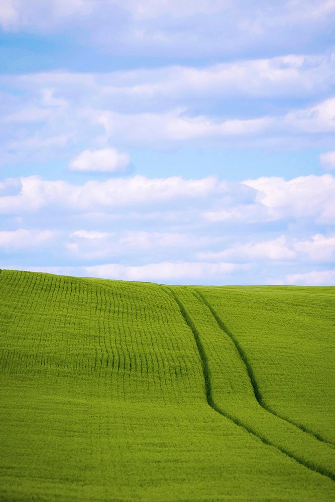 A farmer harvests hay a Carroll County, Md., field May 12, 2020.USDA/FPAC video by Preston Keres. Original public domain…