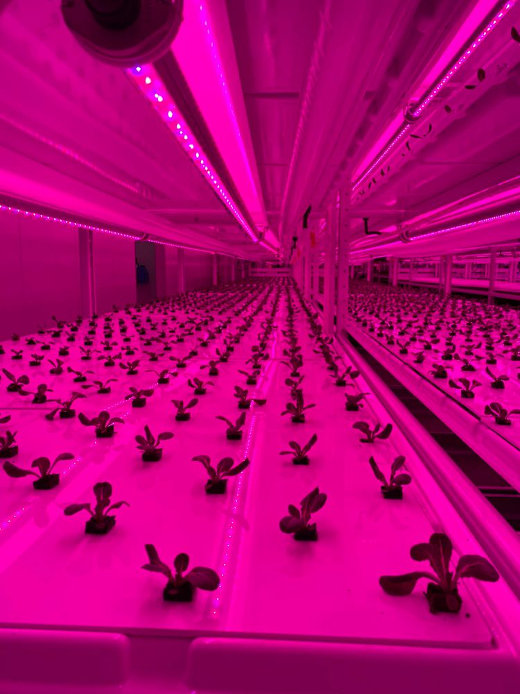 U.S. Secretary of Agriculture Sonny Perdue tours Kalera, a vertical organic hydroponic farm in Orlando, FL on Monday, June…
