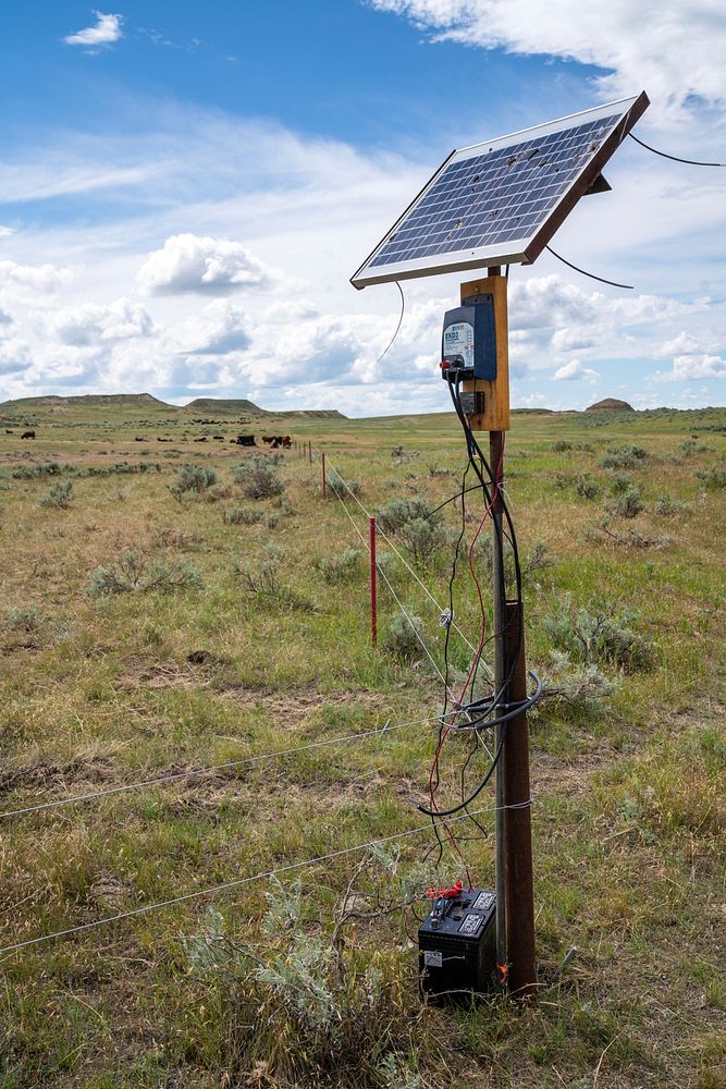 Solar powered electric fencing helps Burgess Ranch graze cattle in smaller sections for more intense grazing.