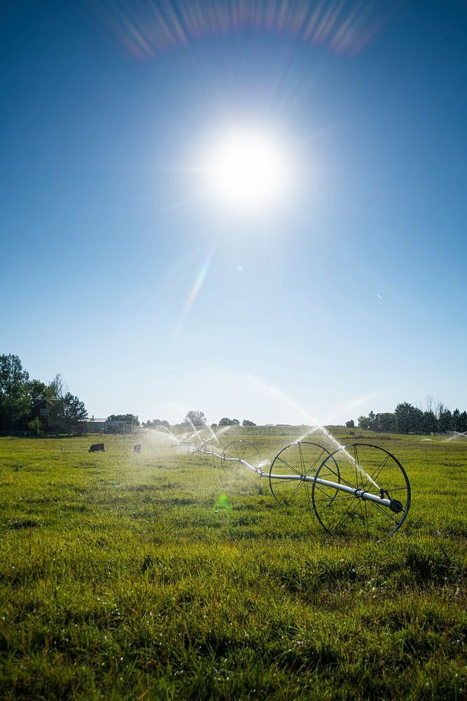 A wheel line irrigation system waters a pasture at the home of Stacey Carlson, a Reclamation employee, in Kuna, Idaho.…