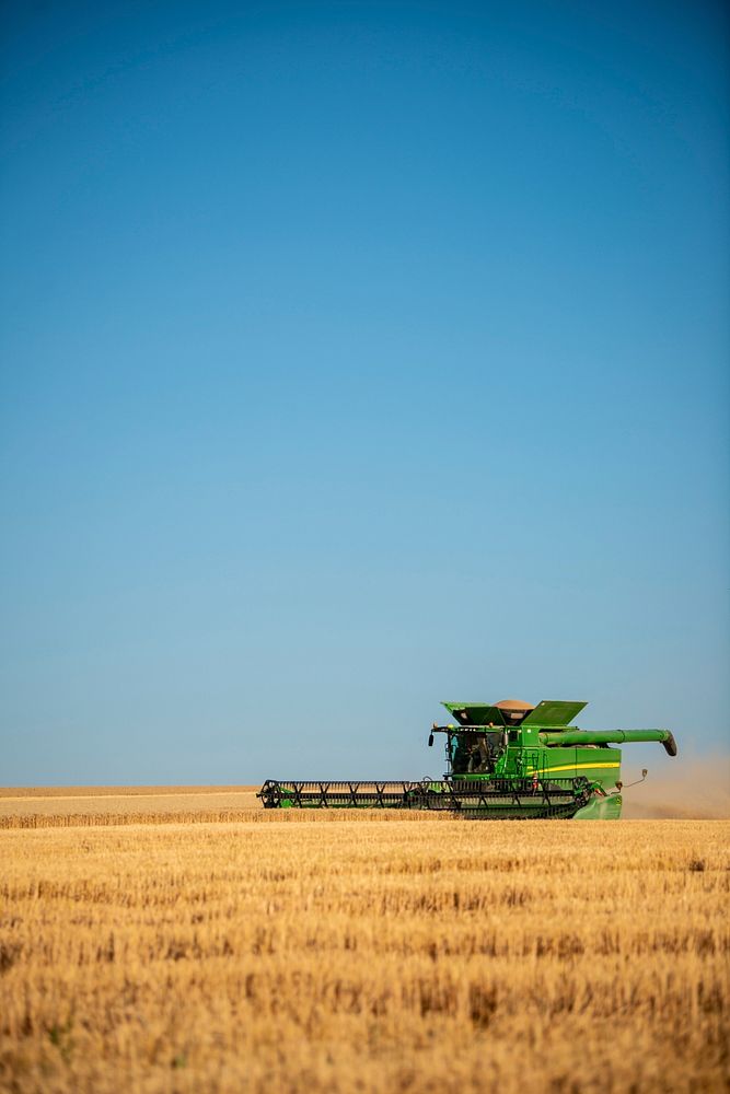 Harvest Ridge Organics harvests wheat on a field near Reservoir A in Lewiston, Idaho.