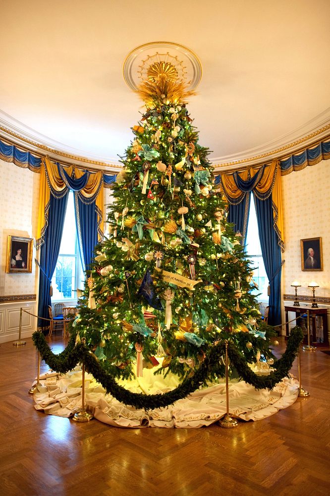 The Official White House Christmas Tree stands in the Blue Room of the White House, Dec. 4, 2010.