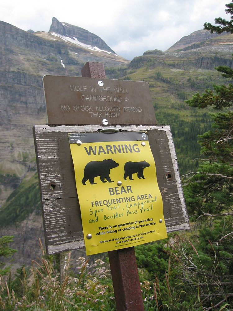 Bear Warning Sign. Original public domain image from Flickr