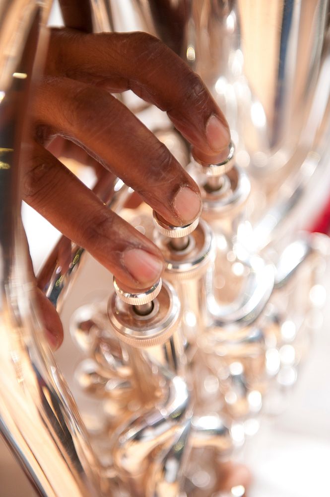 Fingers of a person playing a horn.Original public domain image from Flickr