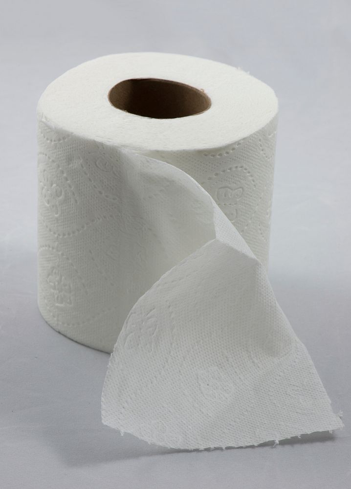 Roll of toilet paper. Free public domain CC0 image.