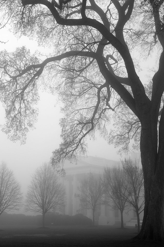 The North Portico of the White House is seen through the fog, April 1, 2013.